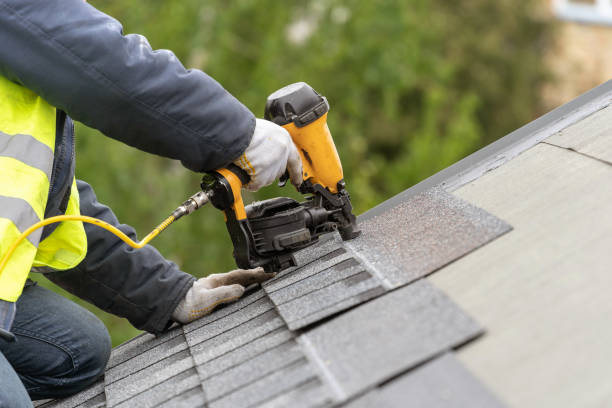 Best Roof Moss and Algae Removal  in Kayak Point, WA
